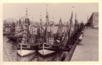 Aanlegsteiger in oude vissershaven Zeebrugge, author: Onbekend