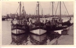 Garnaalvissers aan steiger van oude vissershaven Zeebrugge, author: Onbekend