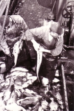 René Valcke en Edmond Heyneman met vangst