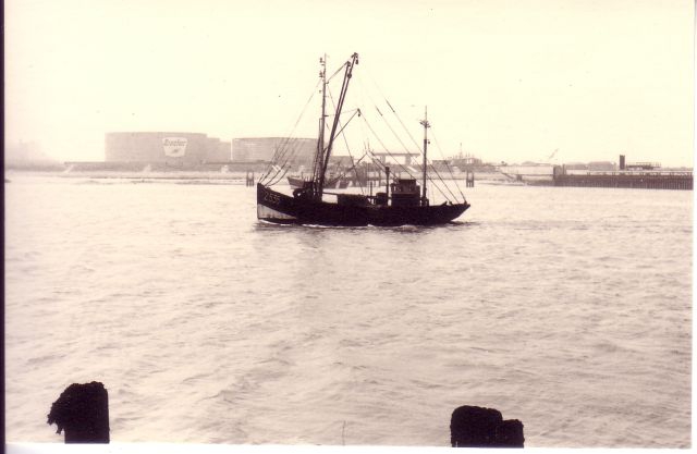 Z.535 Marie-Renée (bouwjaar 1935) vaart havengeul Zeebrugge binnen