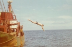 Jan De Voogt duikt in zee vanaf de O.227 (Bouwjaar 1931)