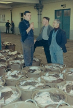 Vangst zeetong in afwachting van verkoop in vismijn Zeebrugge