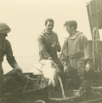 Vissers met vangst aan boord van de Z.403 Stern (Bouwjaar 1961), author: Onbekend