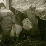 Maurice Dobbelaere ('van Dips', links) en Noël Demeulemeester met vangst