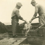 Vissers aan boord van de Z.403 Stern (bouwjaar 1961), author: Onbekend