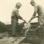 Vissers aan boord van de Z.403 Stern (bouwjaar 1961)