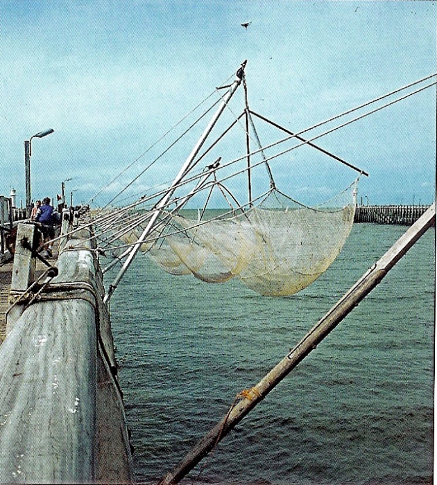 Kruisnetten in de haven van Nieuwpoort