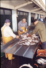 Vangst uitstallen voor verkoop