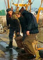 Vissers brengen manden vis op de kade
