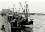 N.146 Georgiana (Bouwjaar 1942), N.807 (Bouwjaar 1943), N.782 en andere schepen in haven, author: Onbekend