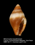 Mitromorpha karpathensis