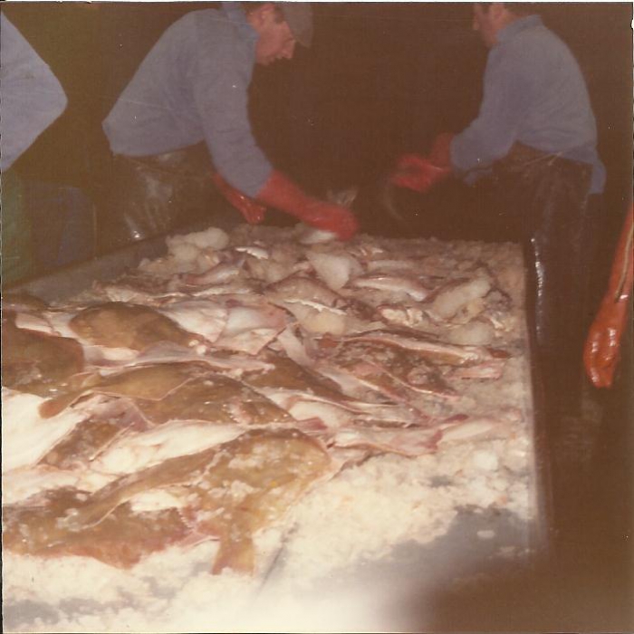sorteren van de vis