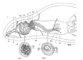 Platyhelminthes (flatworms)