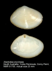 Atactodea erycinaea