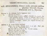 Linnaeus 1758 description of Aphrodita