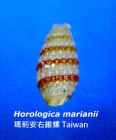 Horologica marianii 