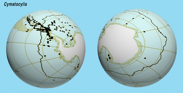 Distribution of the records of Cymatocylis species. Distribution of the records of Cymatocylis species.