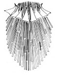 Paracicerina deltoides Paracicerina deltoides