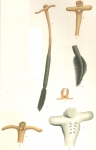 Pennella crassicornis from Brian, A 1906