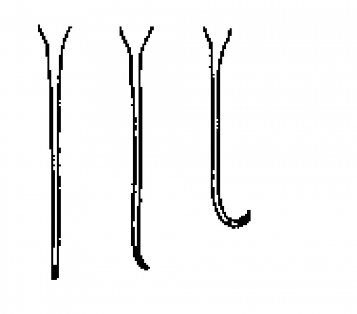 Monocelis longistyla Monocelis longistyla
