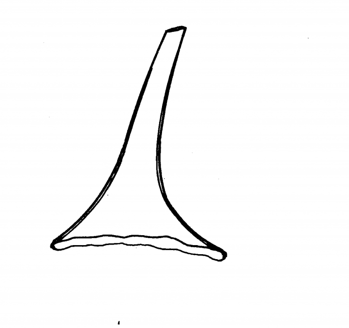 Archimonocelis keke Archimonocelis keke