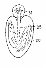 Monocelis hopkinsi