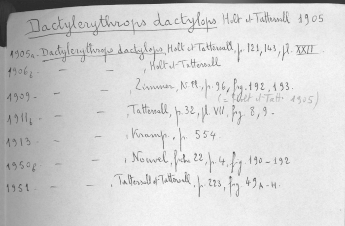 Dactylerythrops dactylops