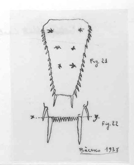 Hemimysis anomala