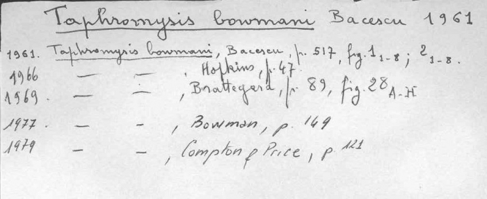 Taphromysis bowmani