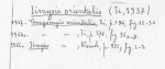 Iimysis orientalis