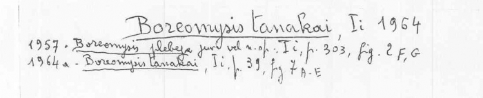 Boreomysis (Boreomysis) tanakai