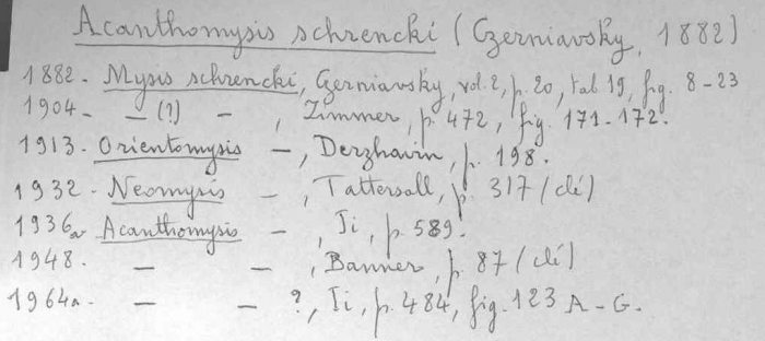 Acanthomysis schrencki