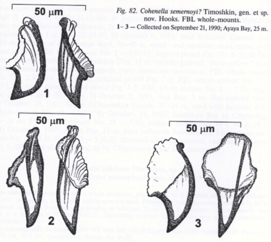 Cohenella semernoyi