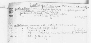 Scan taken from personal notes of H. Nouvel stored at CNRS La Rochelle (France) by Jean Paul Lagardere.