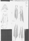 Scan taken from personal notes of H. Nouvel stored at CNRS La Rochelle (France) by Jean Paul Lagardere.