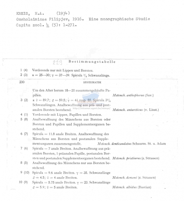 Metoncholaimus