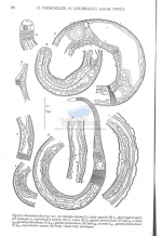 Publication snippets