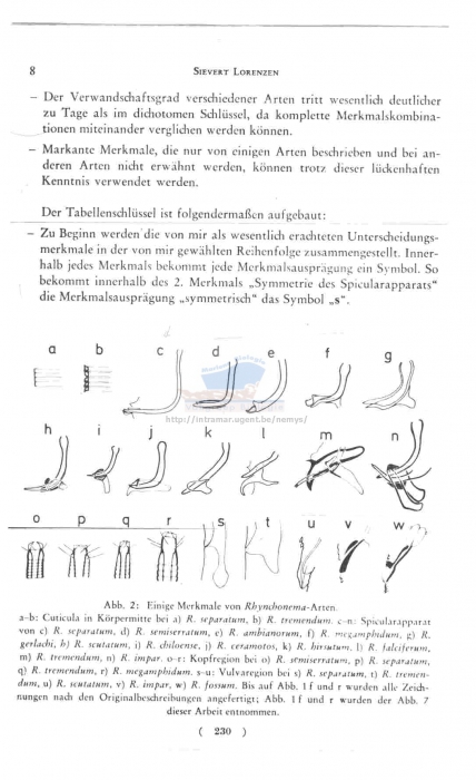 Rhynchonema