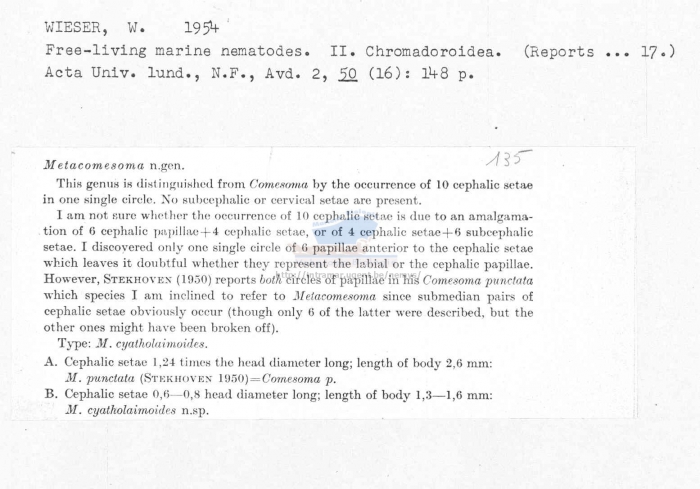 Metacomesoma