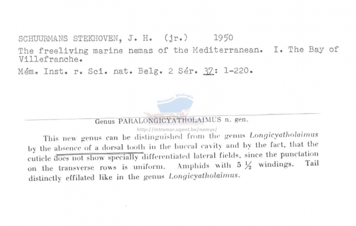 Paralongicyatholaimus