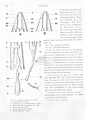 Nematoda (roundworms)