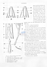 Pelagonemella