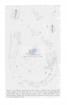 Nematode file-library of the Marine Biology Section (Ghent University, Belgium)