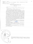 Nematode file-library of the Marine Biology Section (Ghent University, Belgium)