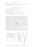 Nematode file-library of the Marine Biology Section (Ghent University, Belgium)