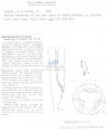 Nematoda (roundworms)