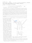 Nematode file-library of the Marine Biology Section (Ghent University, Belgium)