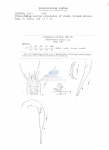 Nematode file-library of the Marine Biology Section (Ghent University, Belgium)