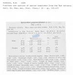 Nematode file-library of the Marine Biology Section (Ghent University, Belgium)