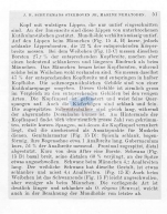 Publication snippets